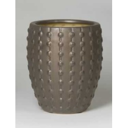 Laos Mini Sepia glans